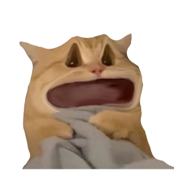 惊吓猫747